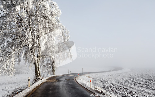 Image of winter Road going in to the fog