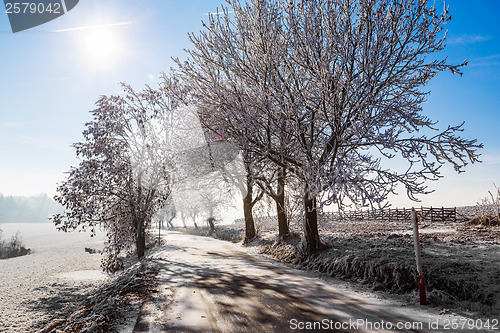 Image of Winter road on a sunny frosty day