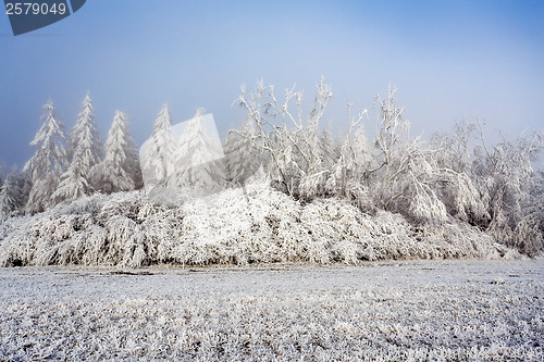 Image of sunny frozen landscape