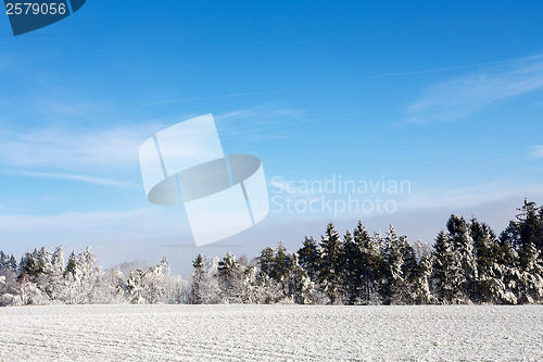 Image of sunny frozen landscape with blue sky