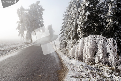 Image of winter Road going in to the fog