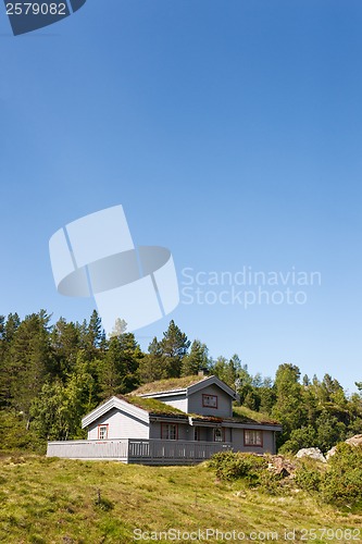 Image of Typical norwegian building with grass on the roof