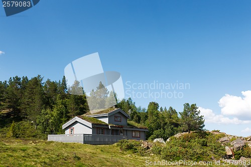 Image of Typical norwegian building with grass on the roof