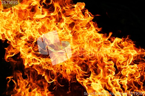 Image of Fire