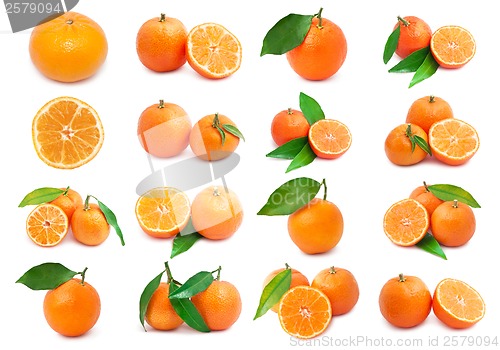 Image of Mandarins