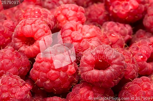 Image of Raspberries