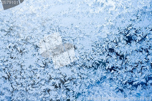 Image of Frost pattern