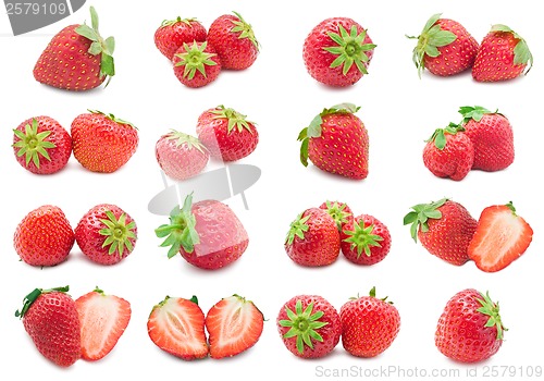 Image of Strawberry