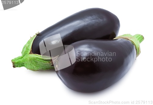 Image of Aubergine