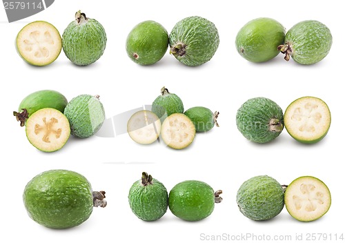 Image of Feijoa