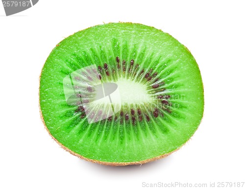Image of Kiwi