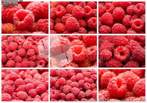 Image of Raspberries