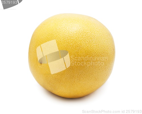 Image of Pomelo