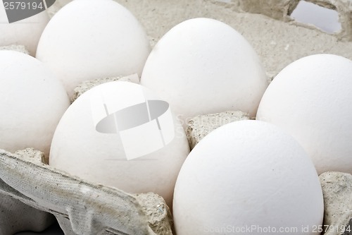 Image of Fresh eggs