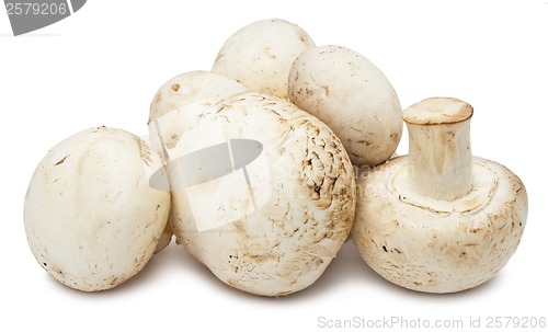 Image of Champignon mushrooms