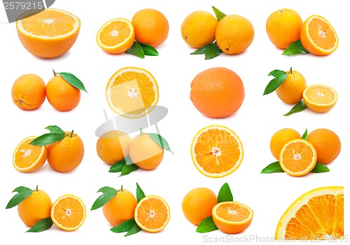 Image of Oranges