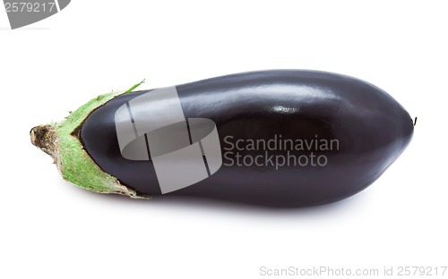Image of Aubergine