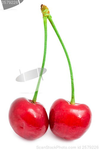 Image of Red cherry