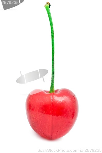 Image of Red cherry