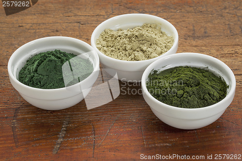 Image of kelp, spirulina and chlorella 