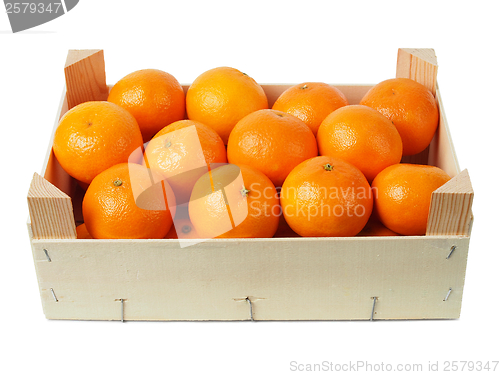 Image of Clementines in a box