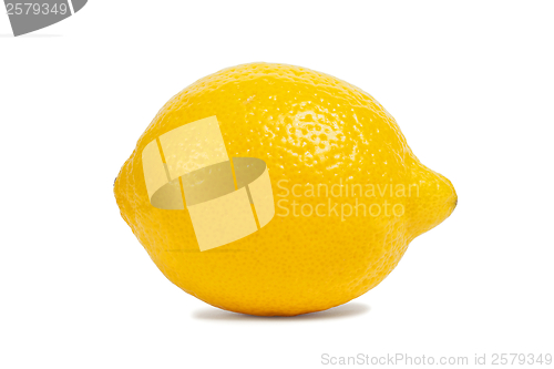 Image of Lemon on white