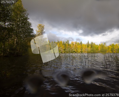 Image of autumn landscape with the rain