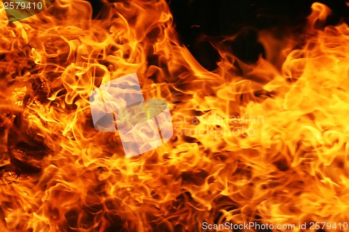 Image of Fire