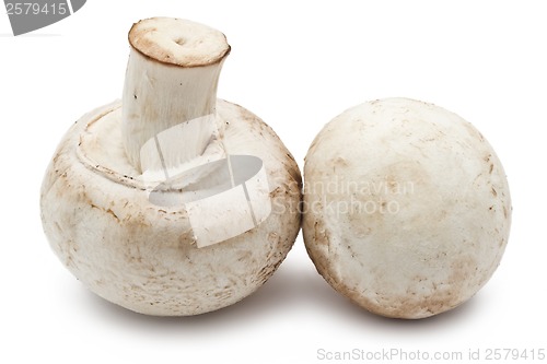 Image of Champignon mushrooms