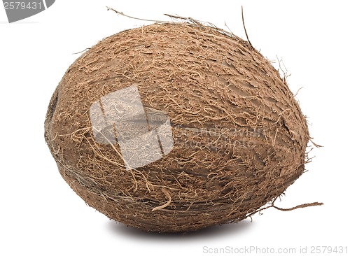 Image of Coconut