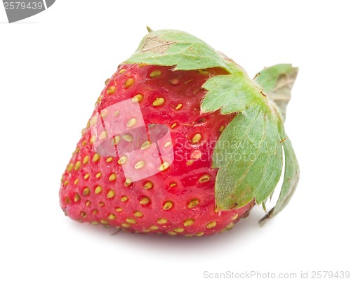 Image of Strawberry