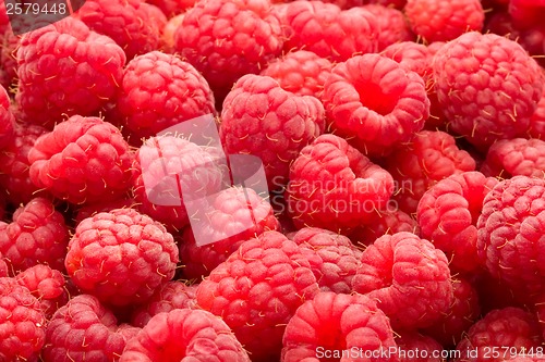 Image of Raspberries