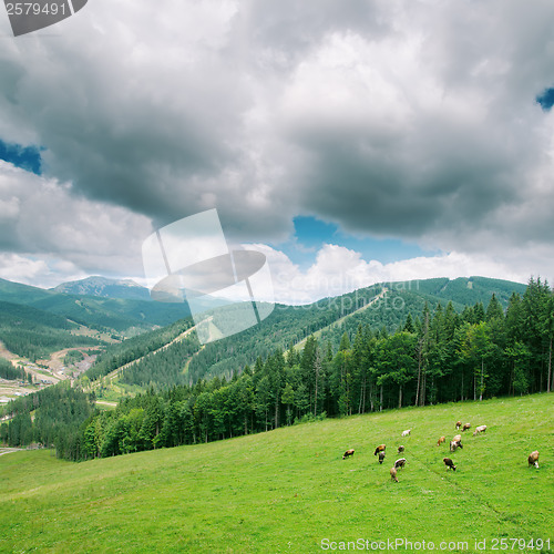 Image of low clouds over mountain