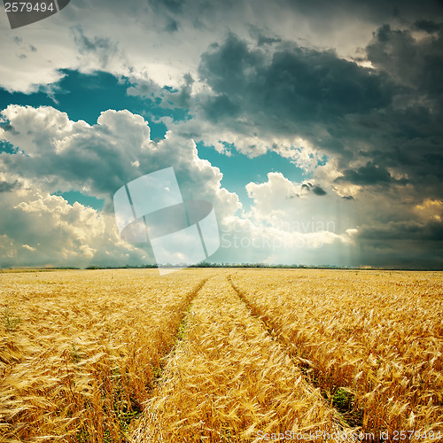 Image of harvest field with track and low clouds over it