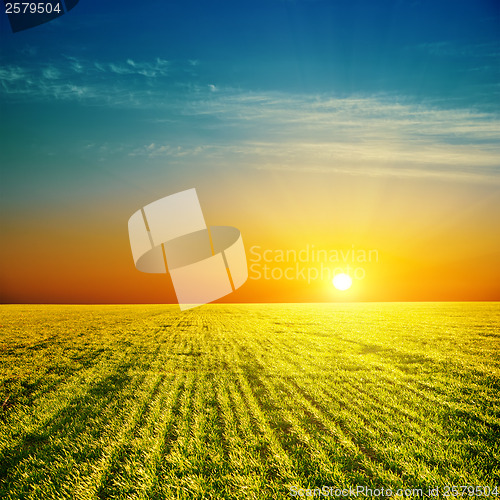 Image of good sunset over green field