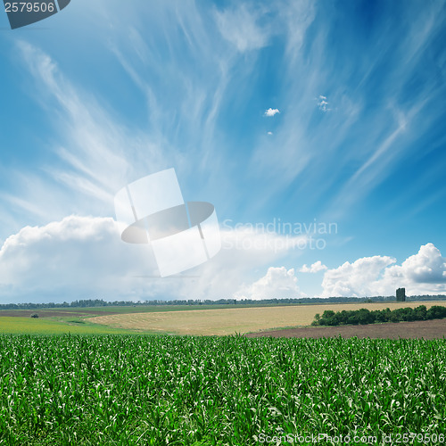 Image of wind in clouds over green field