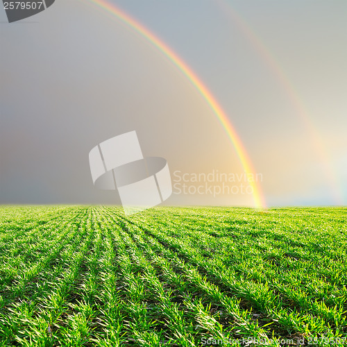 Image of green field and rainbow in grey sky