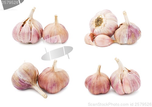 Image of Garlic