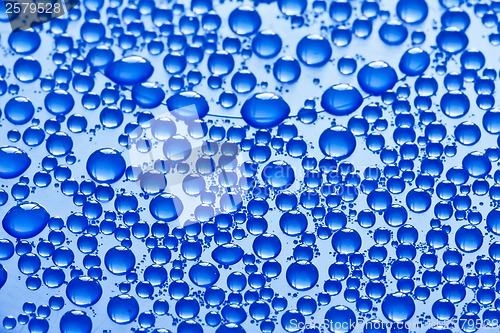 Image of Water drops