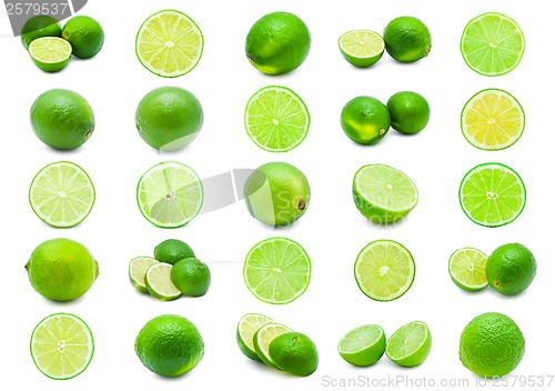 Image of Lime