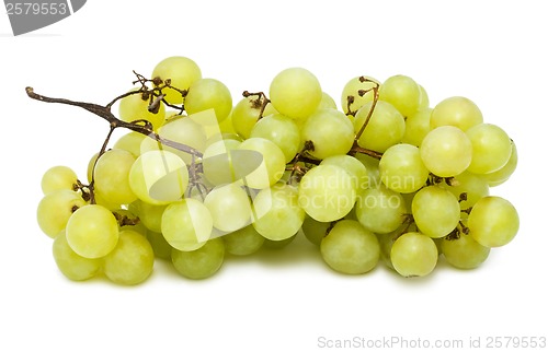 Image of Grapes