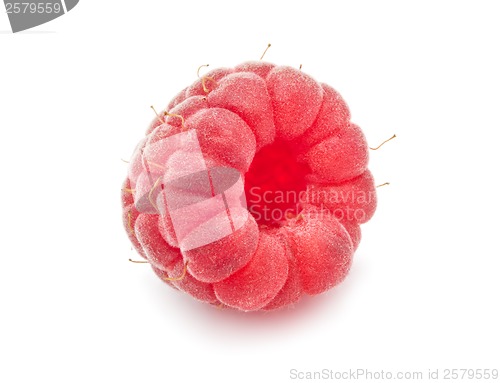 Image of Fresh raspberry