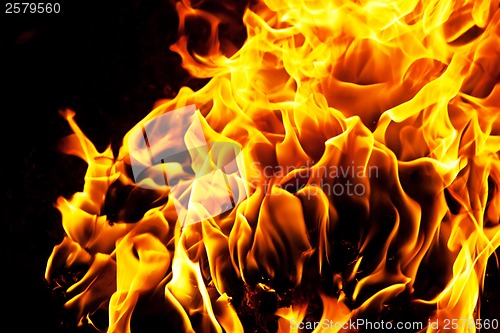 Image of Fire