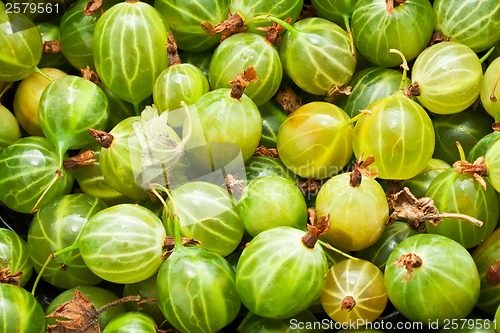 Image of Gooseberries
