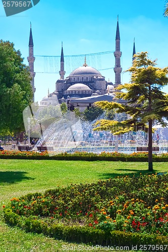 Image of Blue Mosque