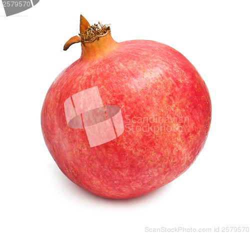 Image of Pomegranate