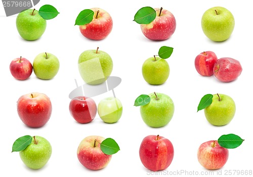 Image of Apples