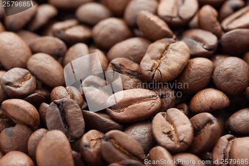 Image of Coffee beans