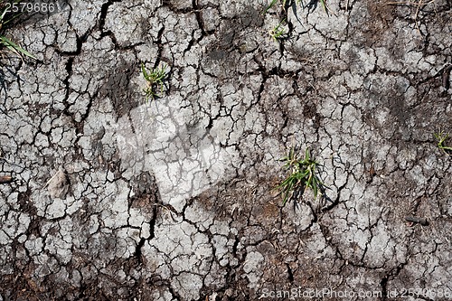 Image of Dry land