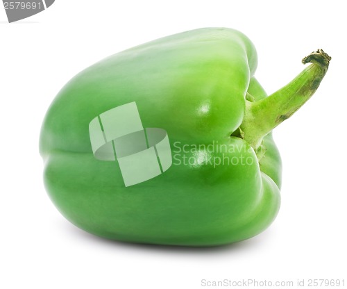 Image of Bell pepper